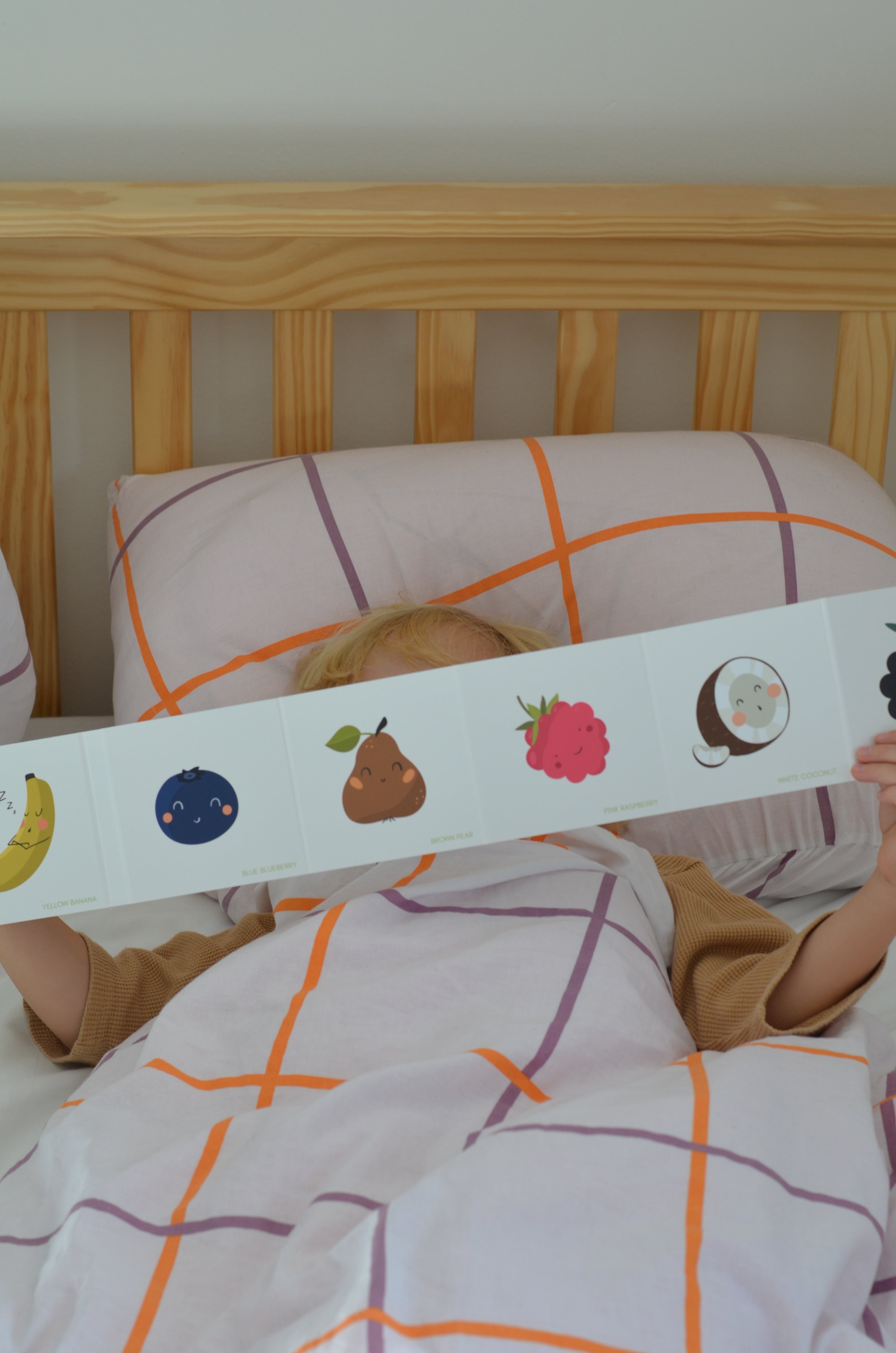 Leporelo Ovocie a farby