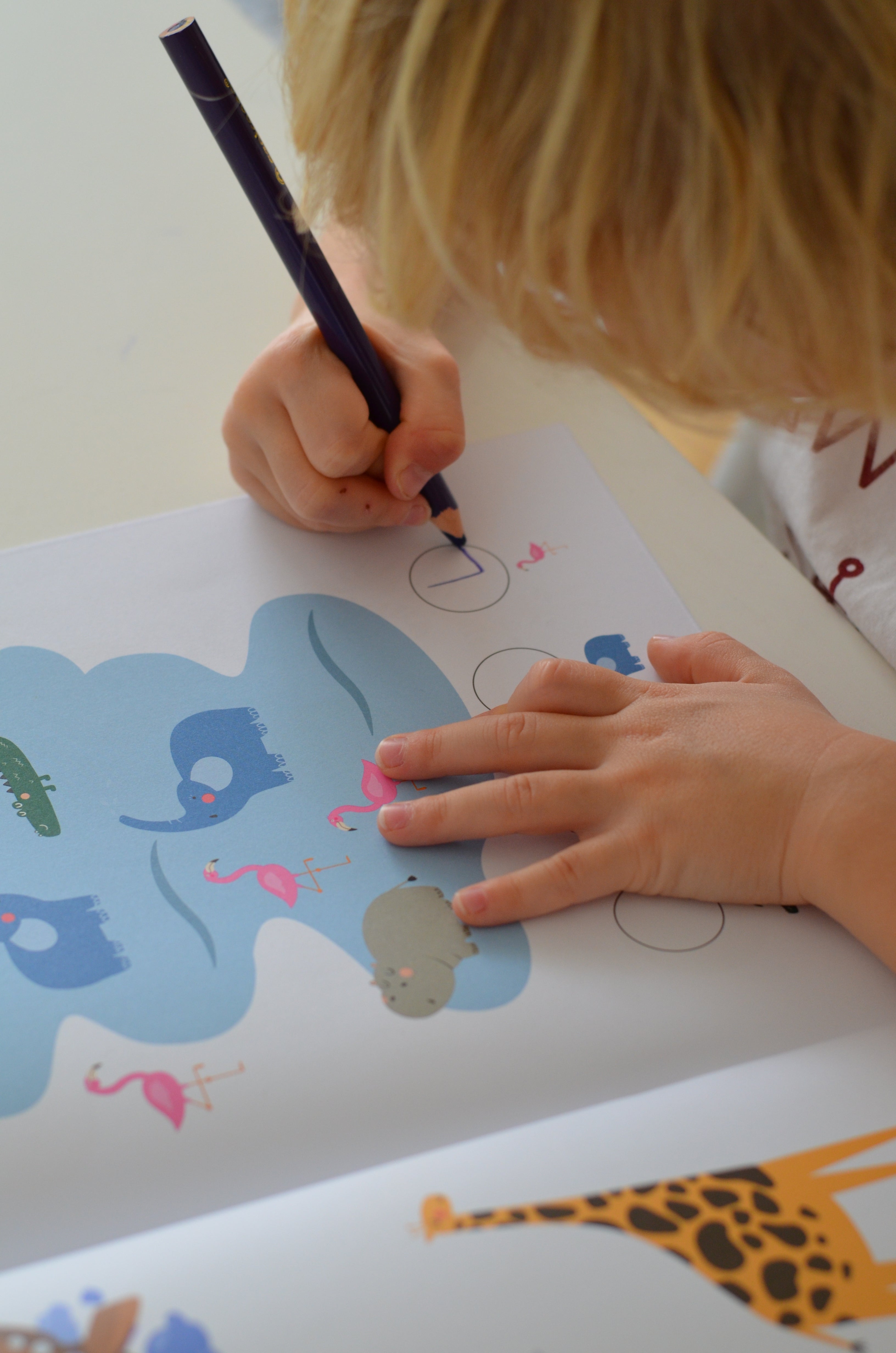 Môj prvý zošit Safari